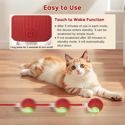 Interactive Dog & Cat Electric Active Toys, Smart Rolling Ball for Dogs & Cats, 360° Smart Automatic Rolling Pet Ball, Fast Moving Toy for Bored Indoor Kitty, Rechargeable(Red)